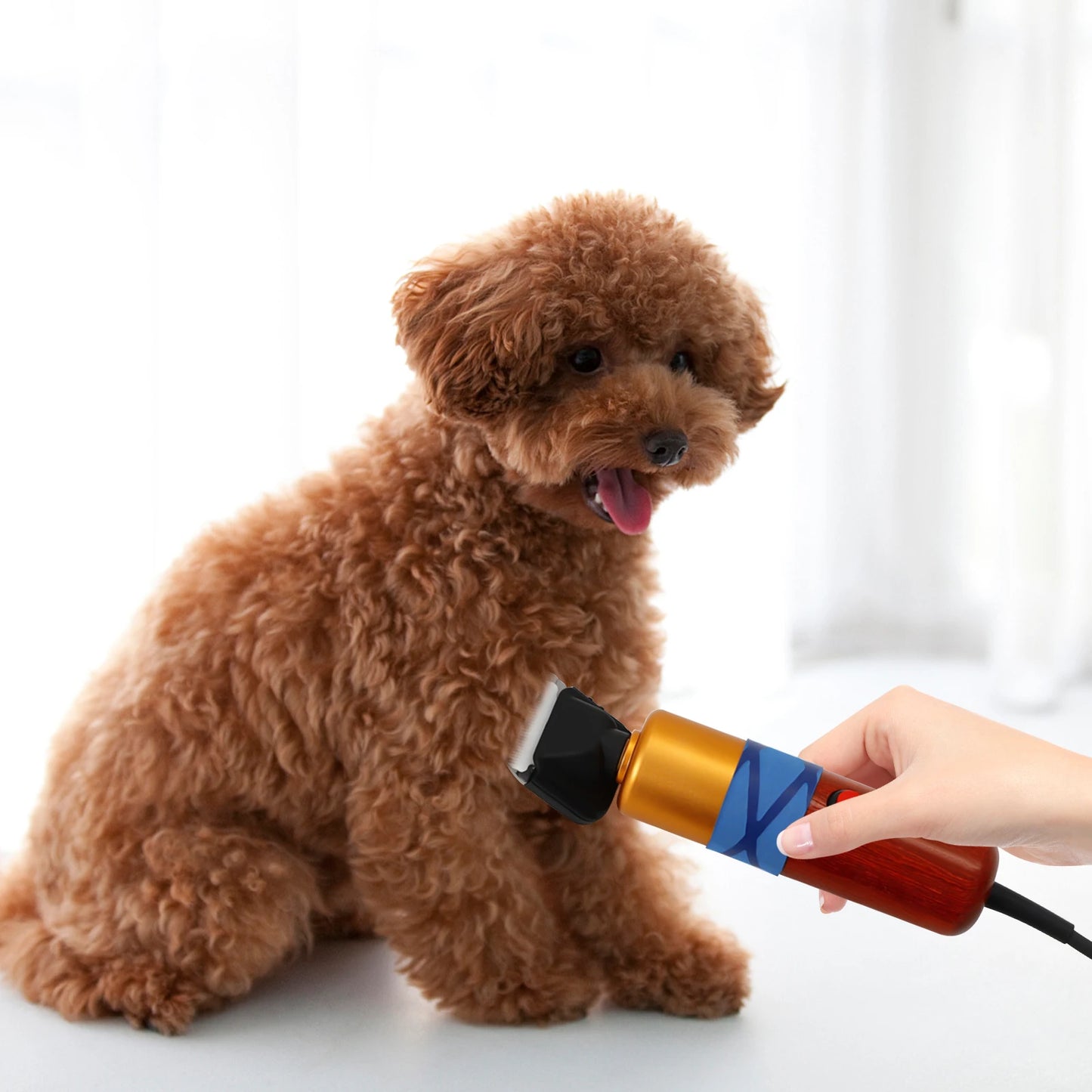 Hignconcerned 220V Corded Pet Clippers 1000To6600RPM Blade