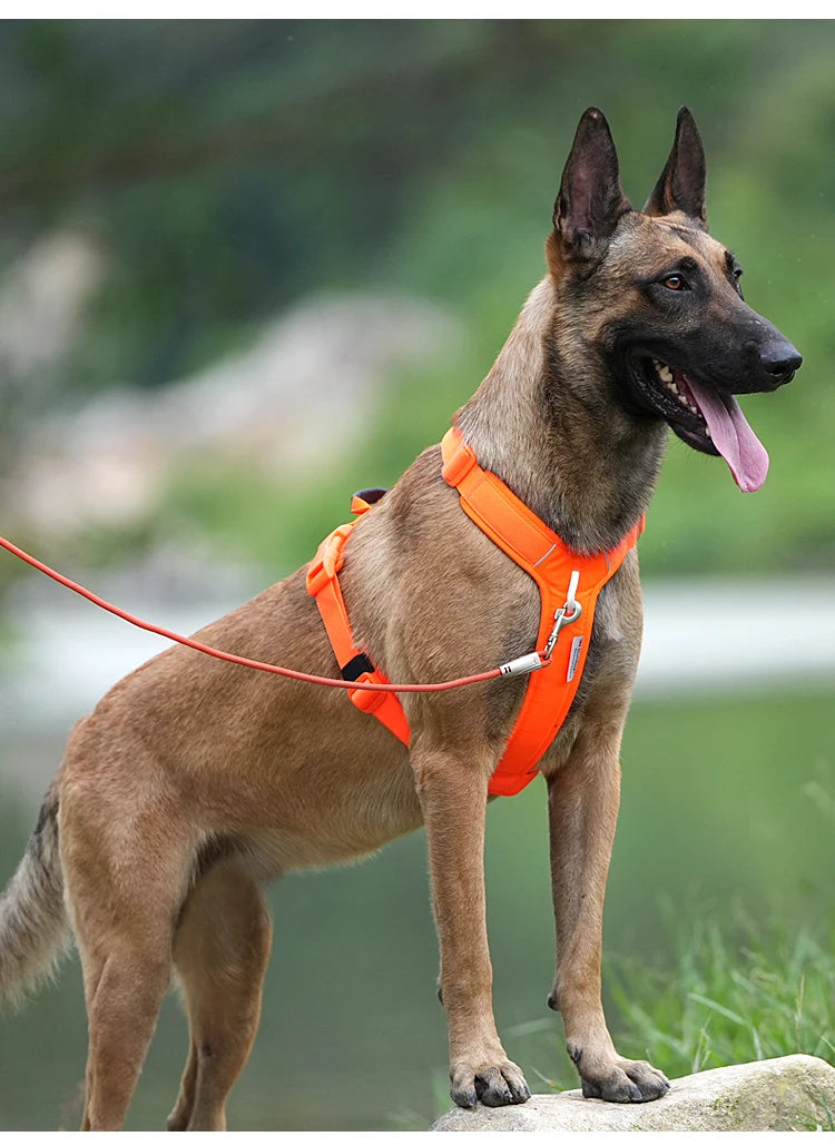 Small Combination No Pull Reflective Dog Harness Vest