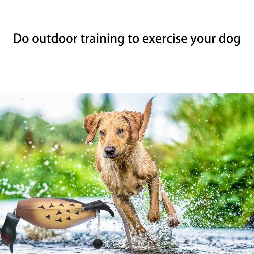 HiMISS Pheasant Dummy Bumper Toy For Retriever Dog Training