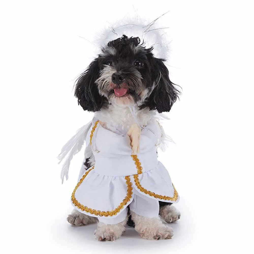 Shishicn Halloween Pet Costume With Hat For Dogs And Cats