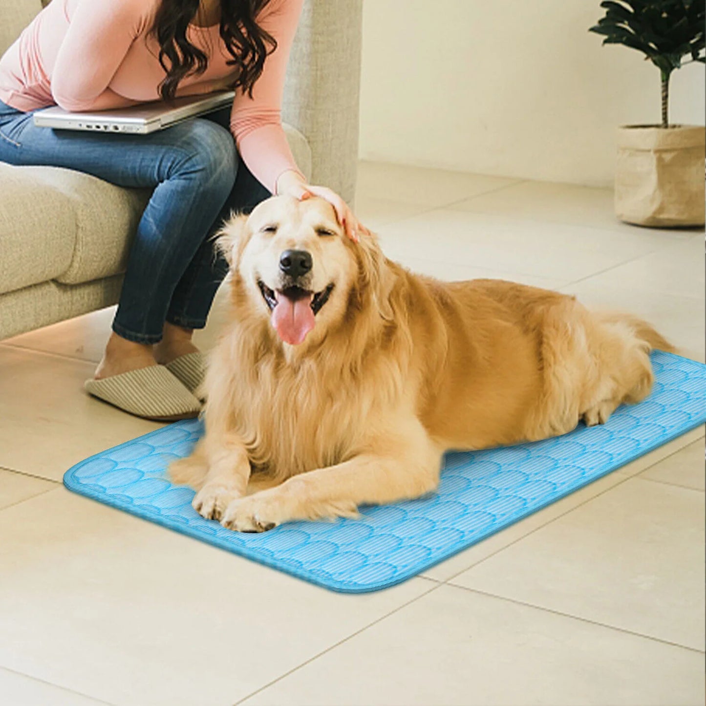Zhejiang Pet Cooling Mat For Dogs And Cats Bed Cushion
