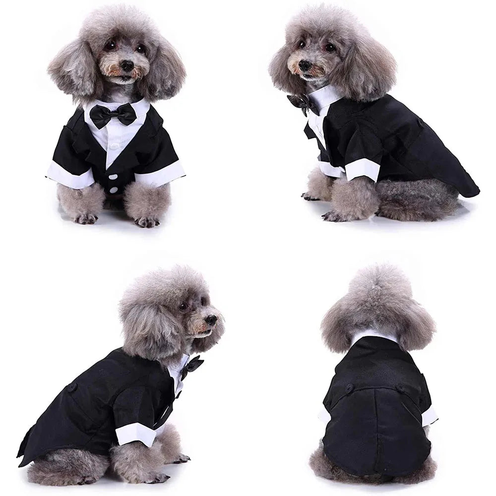 CN Zhejiang Dog Tuxedo Bow Tie Shirt Formal Pet Attire