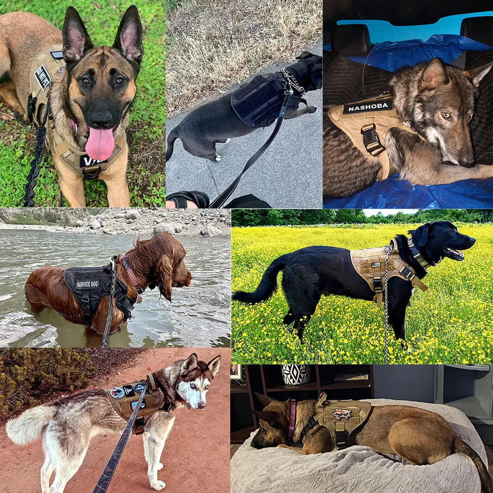 PETRAVELCN Military Dog Harness Vest Set For Training