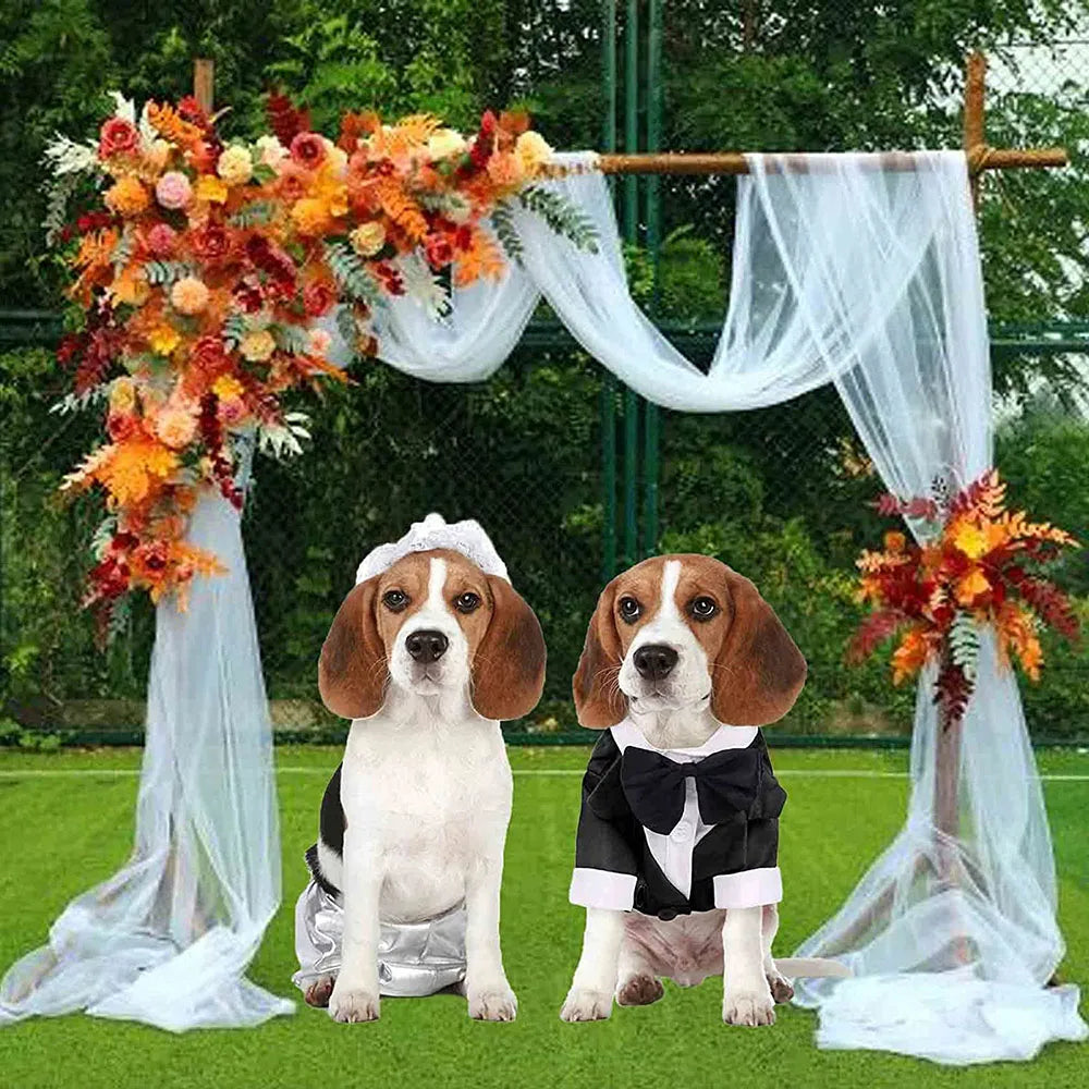 CN Zhejiang Dog Tuxedo Bow Tie Shirt Formal Pet Attire
