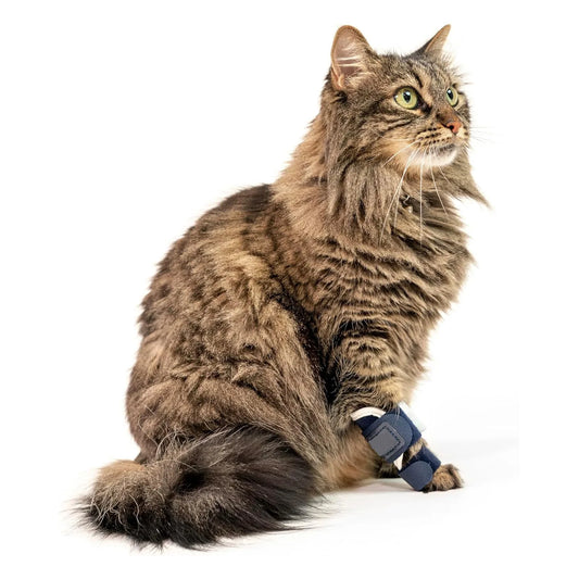 Guangdong Cat Front Leg Brace for Injury Recovery Sleeve