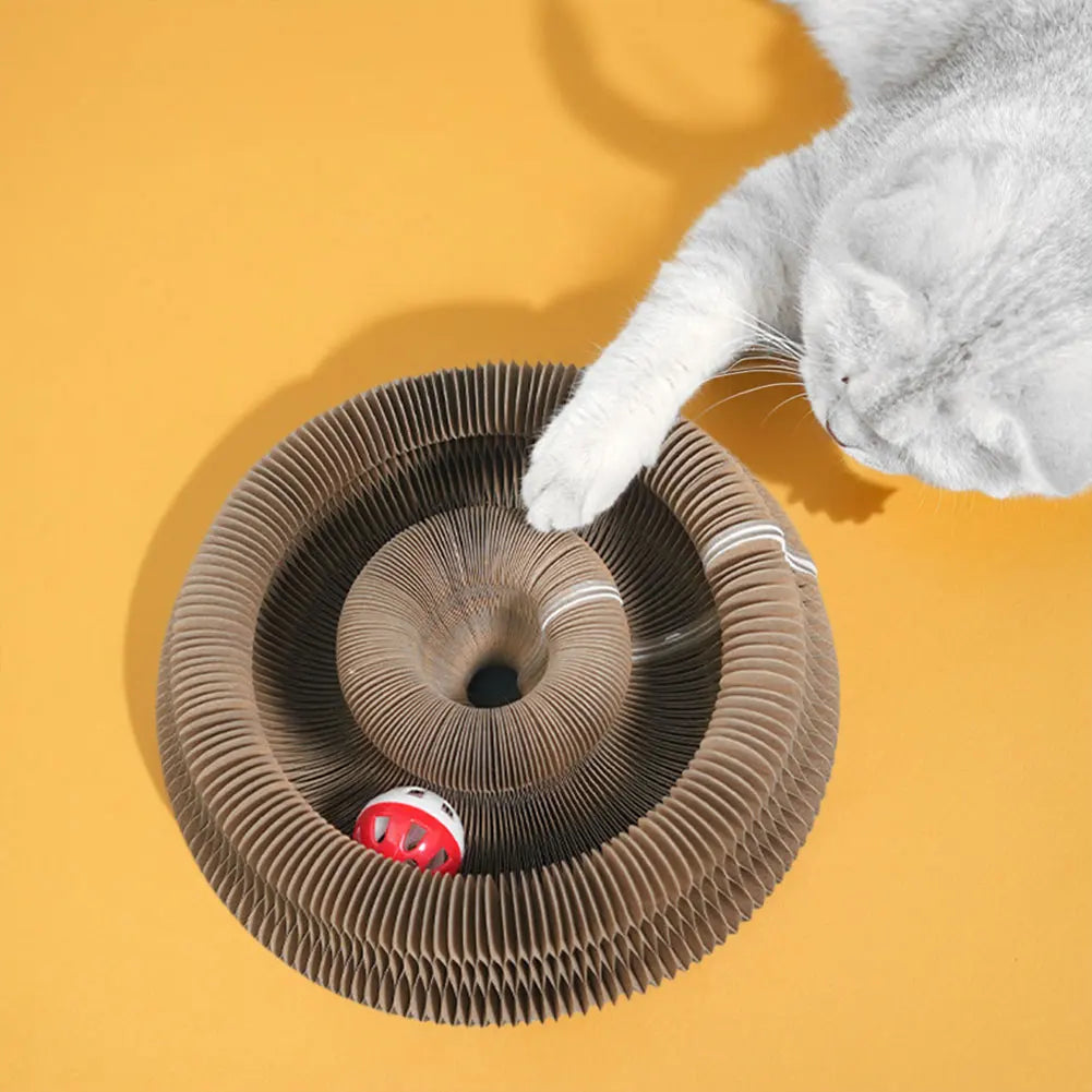 Hign Concerned Magic Organ Cat Scratching Board Toy