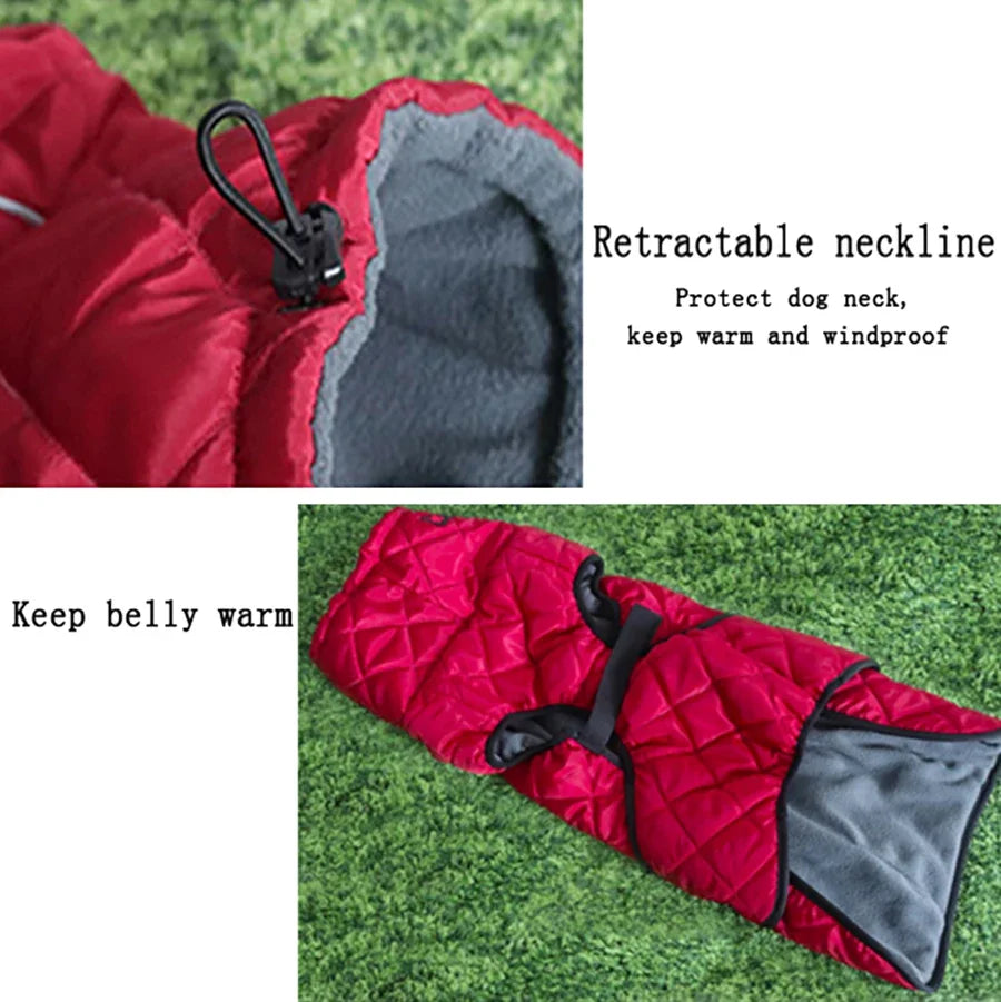 Zhejiang Choice Dog Outdoor Jacket Reflective Coat Gear