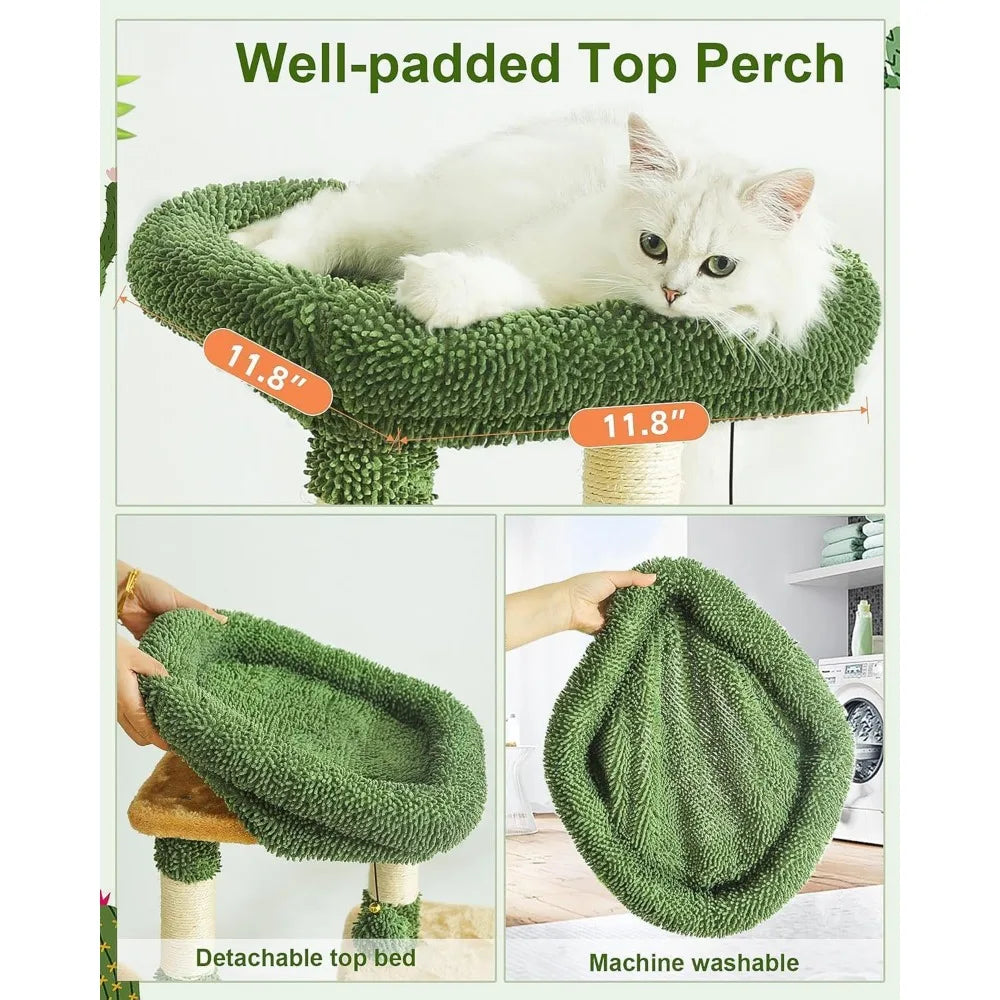 Cactus Cat Tree For Indoor Cats Multi Level Tower Hammock