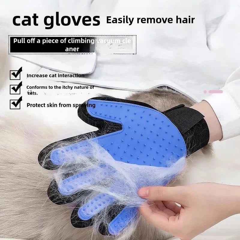 Hign Concerned Cat Grooming Kit Scissors Brush Gloves Comb