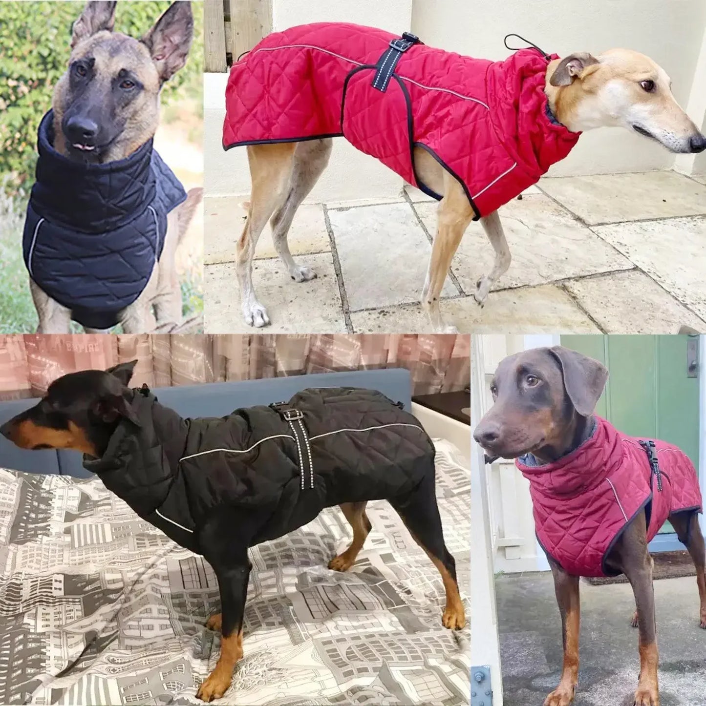 Zhejiang Choice Dog Outdoor Jacket Reflective Coat Gear