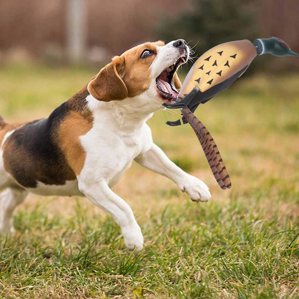 HiMISS Pheasant Dummy Bumper Toy For Retriever Dog Training
