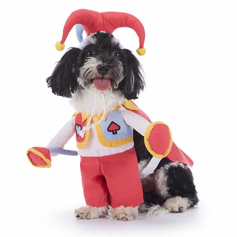 Shishicn Halloween Pet Costume With Hat For Dogs And Cats