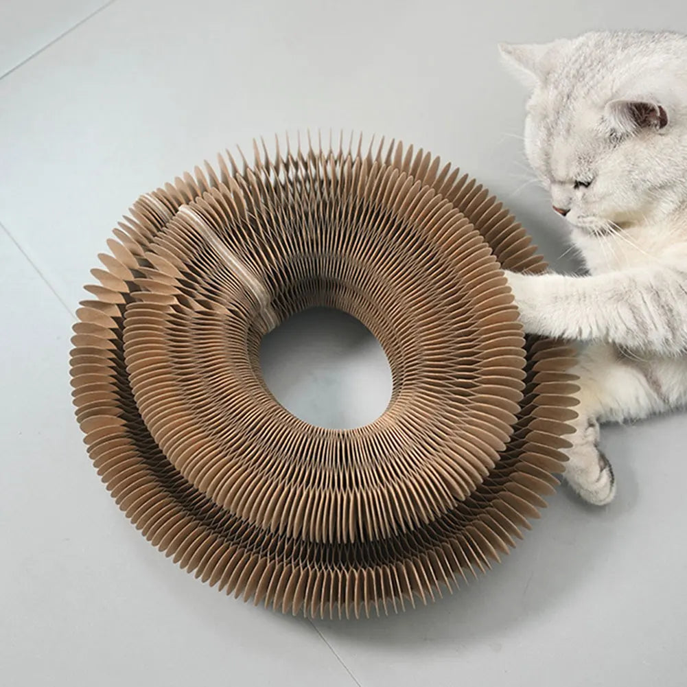 Hign Concerned Magic Organ Cat Scratching Board Toy
