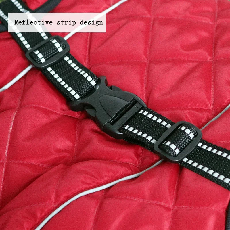 Zhejiang Choice Dog Outdoor Jacket Reflective Coat Gear