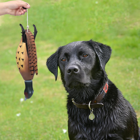HiMISS Pheasant Dummy Bumper Toy For Retriever Dog Training