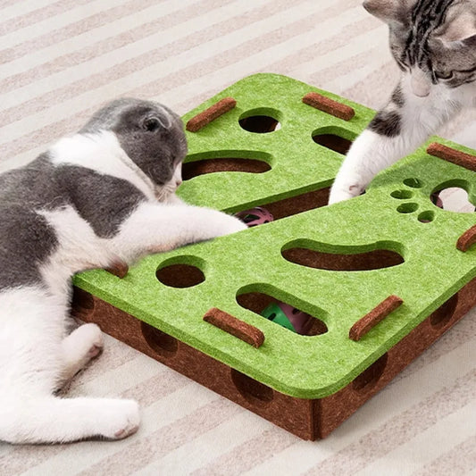 Guangdong CN Cat Puzzle Toy Felt Puzzle Box Indoor Cat