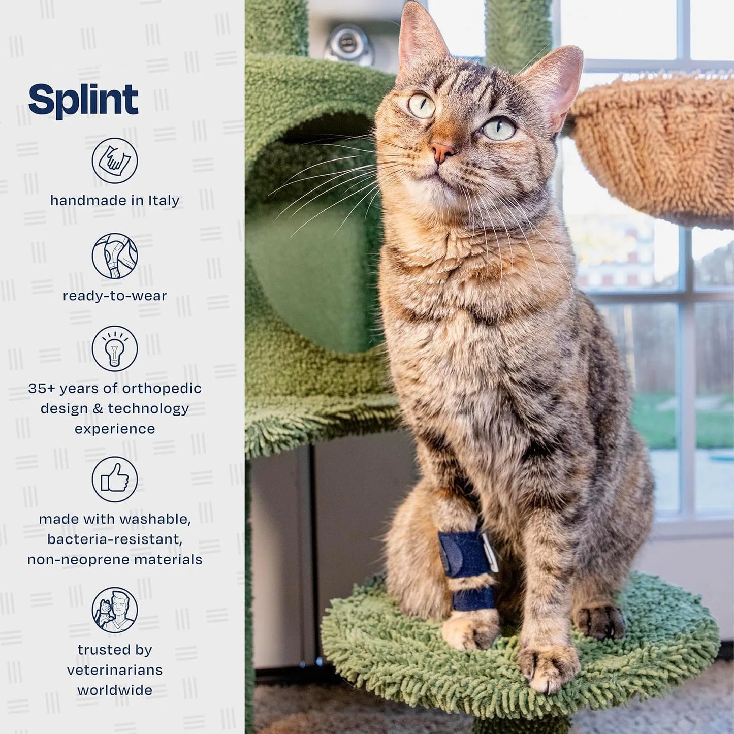Guangdong Cat Front Leg Brace for Injury Recovery Sleeve